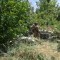 Минометные расчеты группировки войск «Восток» уничтожили опорные пункты ВСУ в Запорожской области