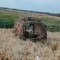 Операторы ударных БПЛА «Востока» сорвали снабжение передовых позиций ВСУ в Запорожской области