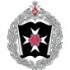 Военно-инженерная ордена Кутузова академия имени Героя Советского Союза генерал-лейтенанта инженерных войск Д. М. Карбышева (ВИА)