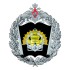 Нижегородское высшее военно-инженерное командное училище (НВВИКУ)